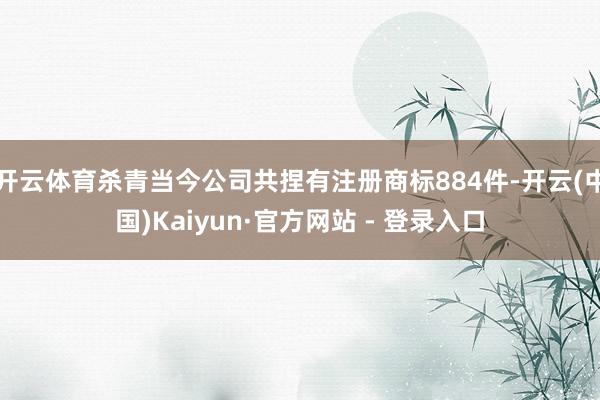 开云体育杀青当今公司共捏有注册商标884件-开云(中国)Kaiyun·官方网站 - 登录入口