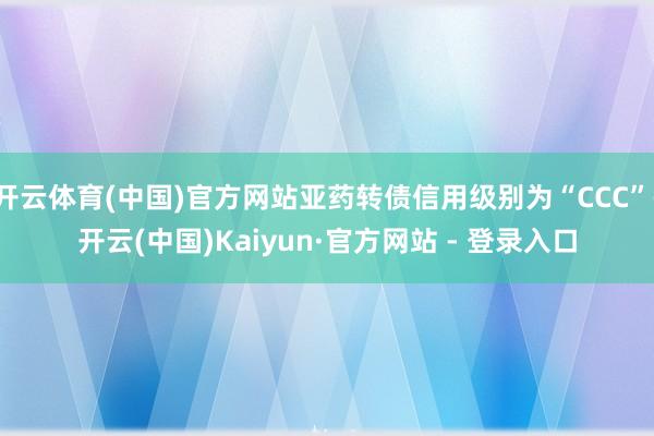 开云体育(中国)官方网站亚药转债信用级别为“CCC”-开云(中国)Kaiyun·官方网站 - 登录入口