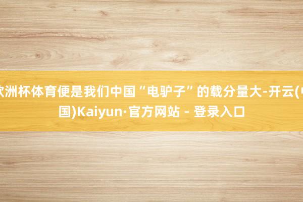 欧洲杯体育便是我们中国“电驴子”的载分量大-开云(中国)Kaiyun·官方网站 - 登录入口