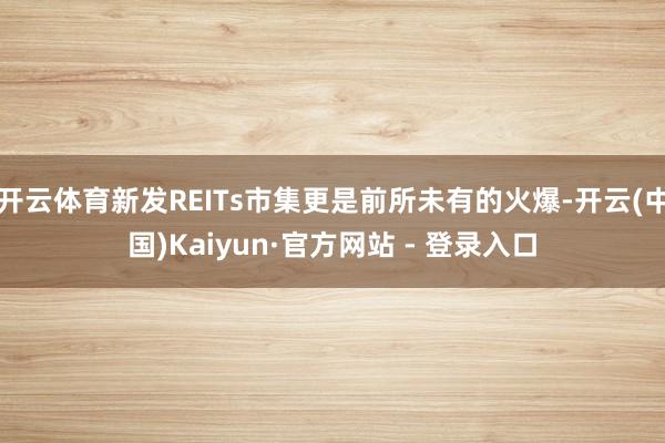 开云体育新发REITs市集更是前所未有的火爆-开云(中国)Kaiyun·官方网站 - 登录入口