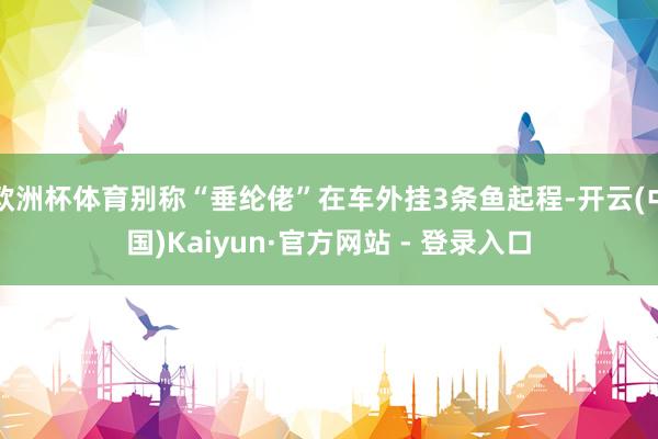 欧洲杯体育别称“垂纶佬”在车外挂3条鱼起程-开云(中国)Kaiyun·官方网站 - 登录入口