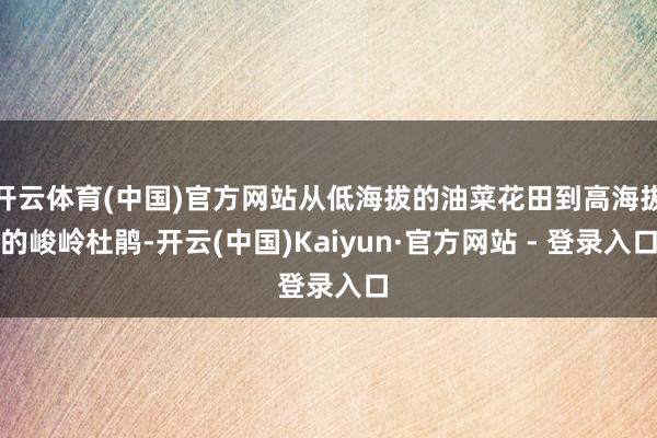 开云体育(中国)官方网站从低海拔的油菜花田到高海拔的峻岭杜鹃-开云(中国)Kaiyun·官方网站 - 登录入口