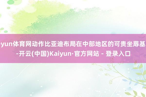 开yun体育网动作比亚迪布局在中部地区的可贵坐蓐基地-开云(中国)Kaiyun·官方网站 - 登录入口