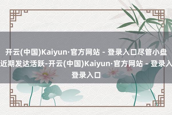 开云(中国)Kaiyun·官方网站 - 登录入口尽管小盘股近期发达活跃-开云(中国)Kaiyun·官方网站 - 登录入口