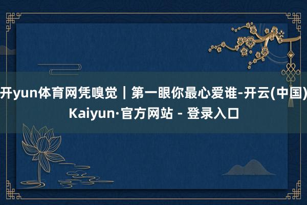 开yun体育网凭嗅觉｜第一眼你最心爱谁-开云(中国)Kaiyun·官方网站 - 登录入口