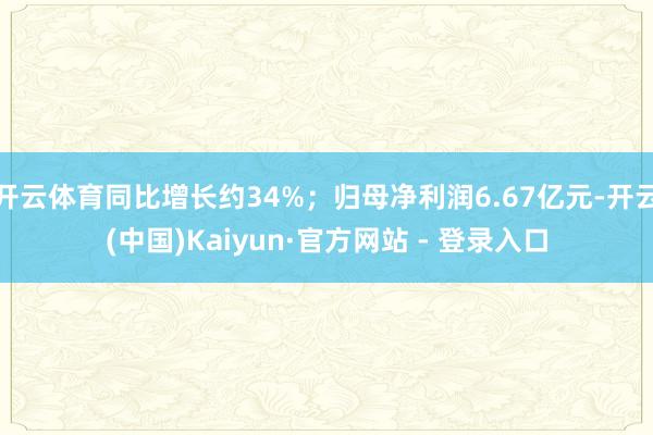 开云体育同比增长约34%；归母净利润6.67亿元-开云(中国)Kaiyun·官方网站 - 登录入口